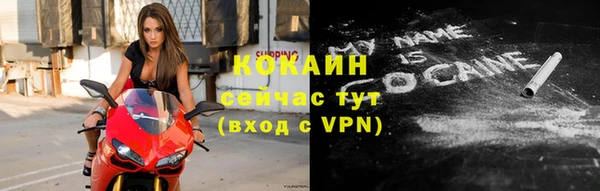 СК Медвежьегорск