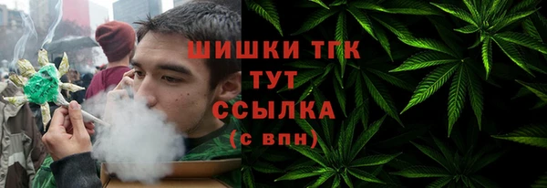 СК Медвежьегорск