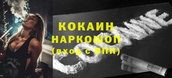 сатива Магас