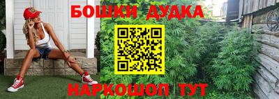 гидропоника Апрелевка