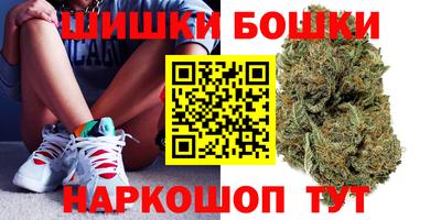 прущие крисы Аргун