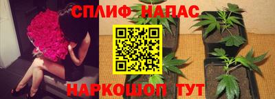 гидропоника Апрелевка