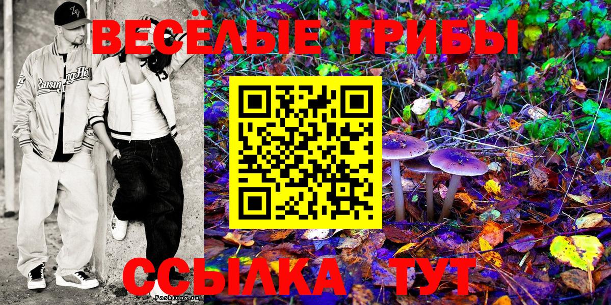 Галлюциногенные грибы Magic Shrooms Астрахань